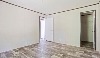 245 Kennedy Rd, Blackville, SC 29817