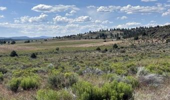 Medicine Mountain Drive, Beatty, OR 97621