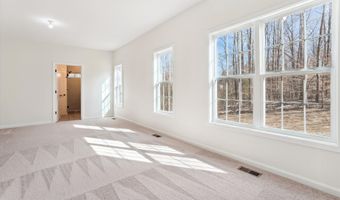 4163 HOLLY SPRINGS Rd, Amissville, VA 20106