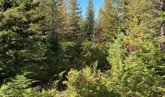 Tract 6 USFS 2294, Clark Fork, ID 83811