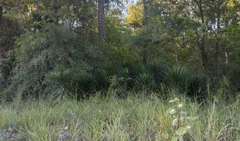 50 Th St, Bell, FL 32619