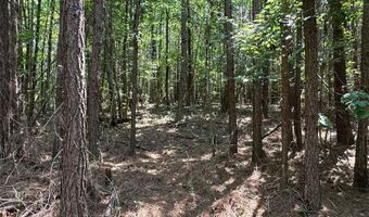 0 Highway 140 Tract D NW, Adairsville, GA 30103