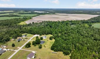 Farmingdon Drive, Adel, GA 31620