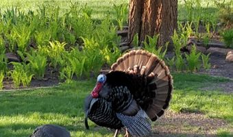 2908 N Oak Rd, Brandon, SD 57005