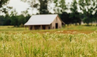 447 County Road 215, Abbeville, MS 38601