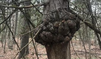 2254 E M30, Alger, MI 48610