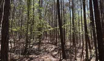 SW Auburn Drive, Bogue Chitto, MS 39629