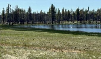 Off-Hicks Road, Bly, OR 97622