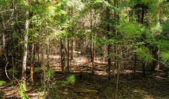 Nna Log Cabin Rd, Bonners Ferry, ID 83805