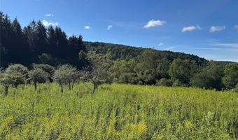 E Valley Road, Alfred, NY 14806