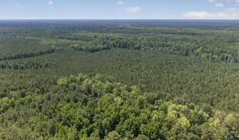82 Acres Point Caswell Rd, Atkinson, NC 28421