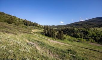 Trail Creek Road Lot 2, Bozeman, MT 59715