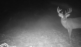 560 Th Ave, Albia, IA 52531