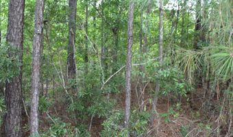 Alberson Road, Ashburn, GA 31714
