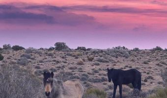 159 Eagle Nest Cir, Cold Creek, NV 89124