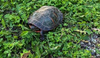 39450 N Circle Ave, Antioch, IL 60002