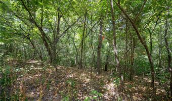 Ashdown Lane lot 19, Bella Vista, AR 72714