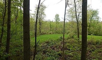 15252 27 Mile Rd, Albion, MI 49224