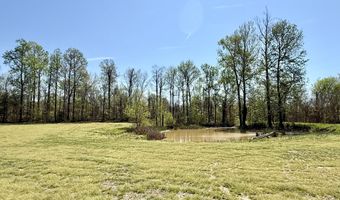 378 County Road 1219, Bardwell, KY 42023