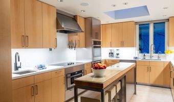 506 W Hallam St, Aspen, CO 81611