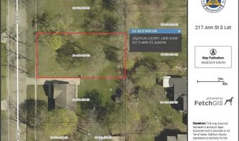 217 S Ann St, Albion, MI 49224