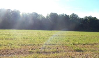 Co Rd 247, Bruce, MS 38915