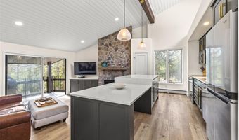 1127 Ski Hill Rd 104, Breckenridge, CO 80424