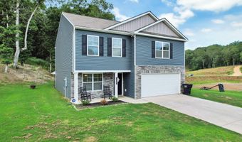 12263 Bull Run, Birchwood, TN 37308