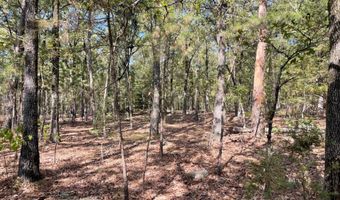 Tract 51 Highway 2, Antlers, OK 74523