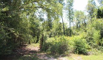 188 Compass Lake Dr, Alford, FL 32420