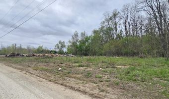 S Michigan Avenue 19-Sheridan Twp, Albion, MI 49224