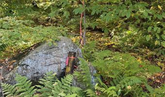 9822 Culver Brook Rd, Alder Creek, NY 13309