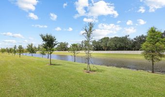 278 MANGROVE SHADE Cir, Apollo Beach, FL 33572