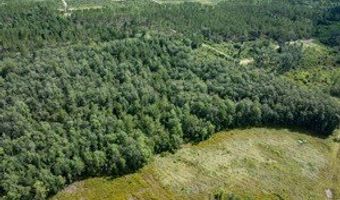 542 Lilla B Gaskins Rd, Alapaha, GA 31622