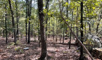 Tract 52 E 1885 Road, Antlers, OK 74523