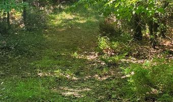 V/L 20AC Monaghan Point Road, Alpena, MI 49707