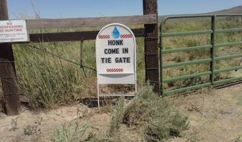 066-070 60 Dry Gulch 1, Gerlach, NV 89412