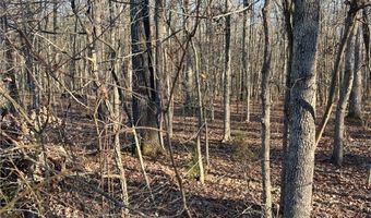 32-1 5 Patrick Henry Hwy, Amelia, VA 23002