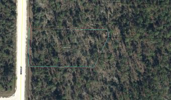 0 Edison St Lot 114, Alford, FL 32420