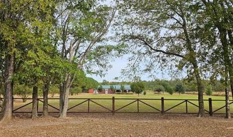 3493 S FM 17, Alba, TX 75410