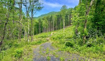 Pumpkin Patch Road, Bakersville, NC 28705