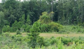 00 Ebenezer Church Rd, Bassfield, MS 39421