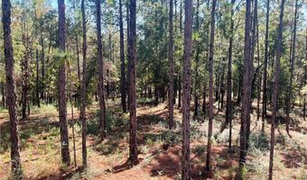 0 State Highway 225, Bay Minette, AL 36507