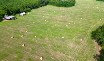 County Road 127, Banks, AL 36005