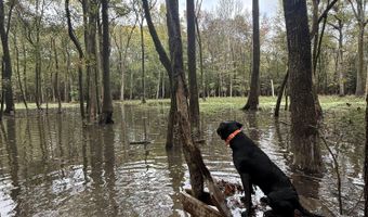 Gun Baoyu Road, Belzoni, MS 39038