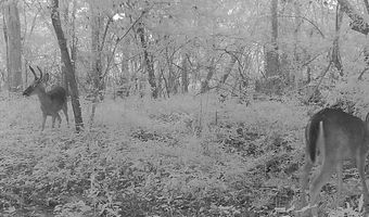 Williams Street, Brookhaven, MS 39601