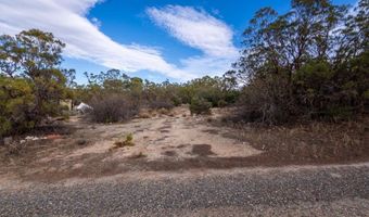 59481 Burnt Valley Rd, Anza, CA 92539