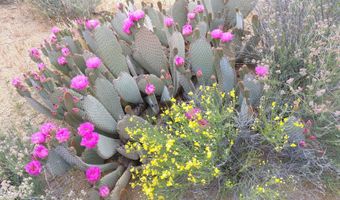 2624 S Gold Mine Rd, Yucca, AZ 86438