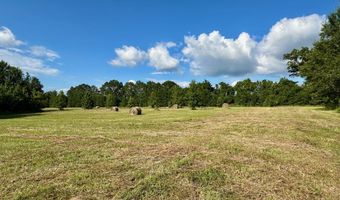 0 Hwy 14, Aliceville, AL 35442