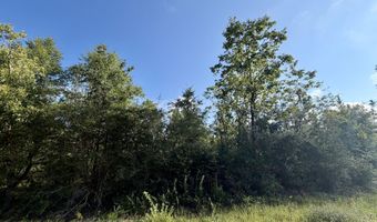 Rincon Street lot 2 & 3, Alford, FL 32420